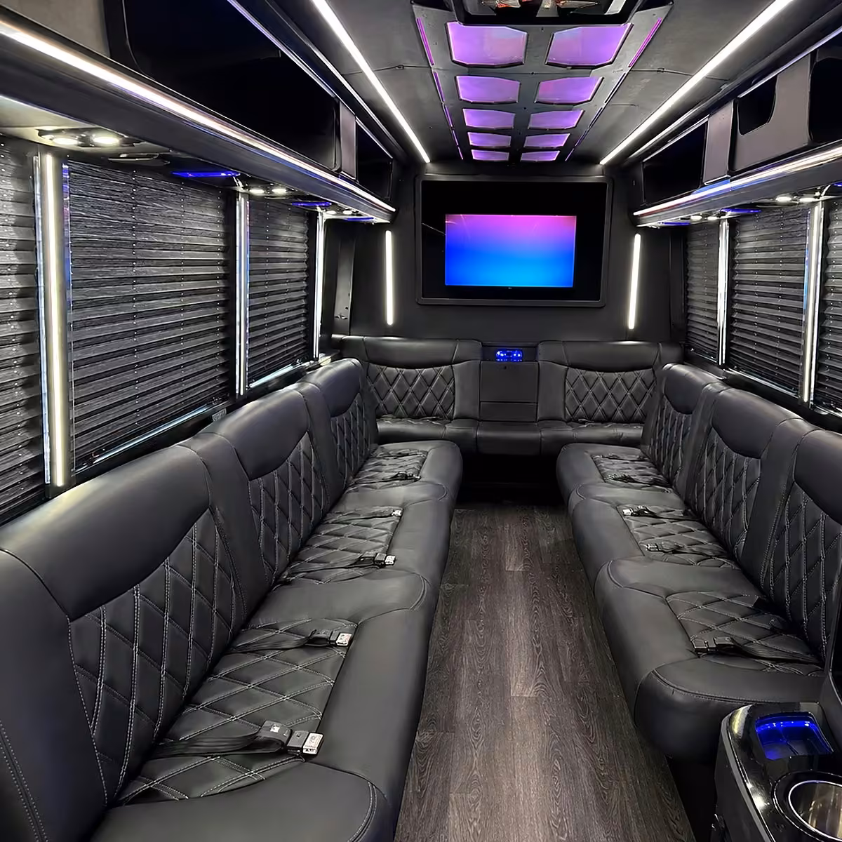 28 passenger party bus interior
